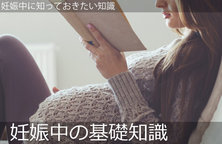 妊娠中の基礎知識